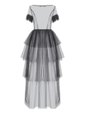 Alluring Tulle Dress with Layered Skirt and Lace Accents