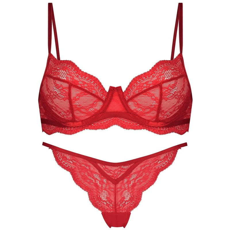 Elegant Sexy Lace Lingerie Set - Underwire Bra & Panty - EVE's SECRETS