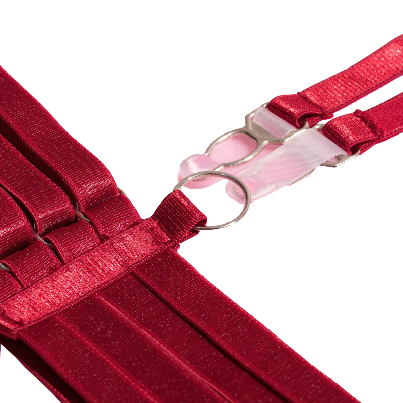 Erotic Burgundy Bodysuits / Sexy Mesh Clothing With Long Gloves / Female Skinny Outfits - EVE's SECRETS