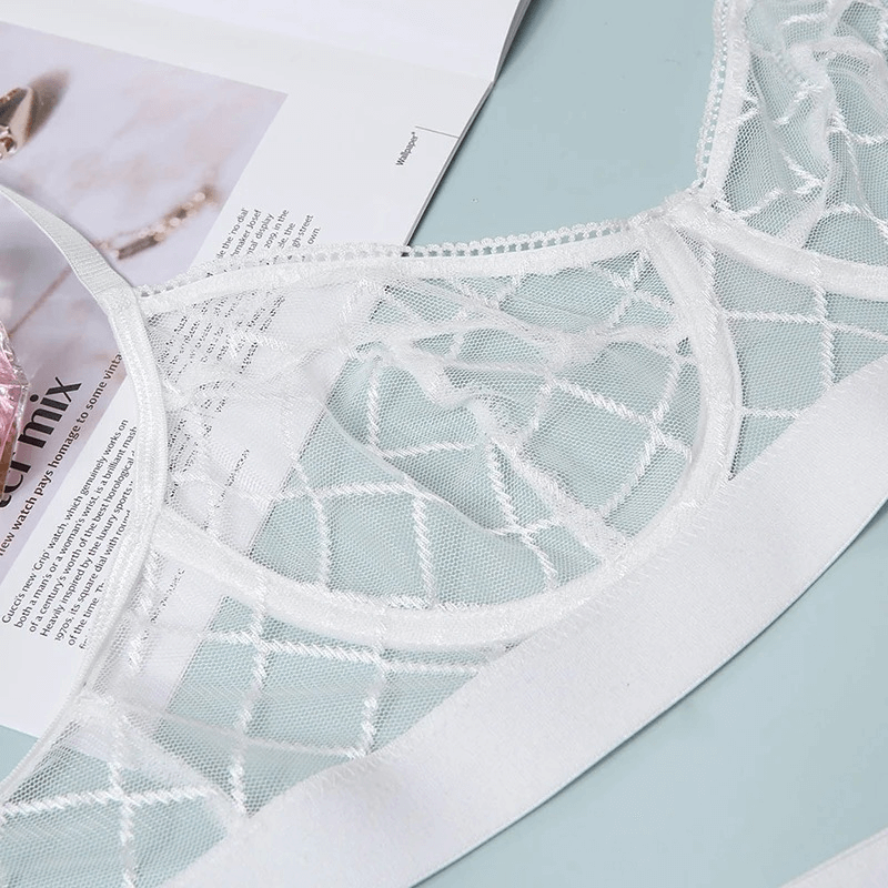 Erotic Female Plaid Lingerie Underwear / Transparent Lace Bra and Panty Sets - EVE's SECRETS