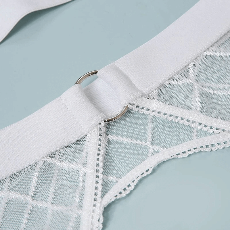 Erotic Female Plaid Lingerie Underwear / Transparent Lace Bra and Panty Sets - EVE's SECRETS