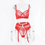 Erotic Female Plaid Lingerie Underwear / Transparent Lace Bra and Panty Sets - EVE's SECRETS