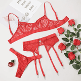 Erotic Female Plaid Lingerie Underwear / Transparent Lace Bra and Panty Sets - EVE's SECRETS