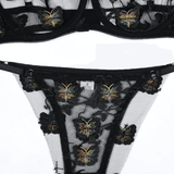 Erotic See Through Lingerie Sets / Female Sexy Lace Underwear - EVE's SECRETS