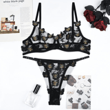 Erotic See Through Lingerie Sets / Female Sexy Lace Underwear - EVE's SECRETS