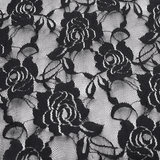 Floral Lace Mini Skirt / Sheer Black Single Layer