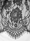 Ladies Transparent Lace Corset: Short Sleeves Elegance