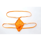 Men's Mesh Transparent Briefs / Low Rise G-Strings with Elastic Waistband / Male Sexy Underwear - EVE's SECRETS