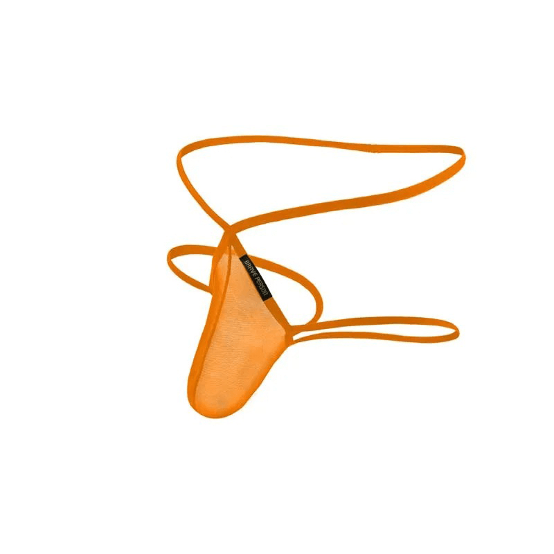Men's Mesh Transparent Briefs / Low Rise G-Strings with Elastic Waistband / Male Sexy Underwear - EVE's SECRETS