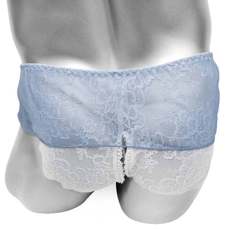 Open Crotch Panties For Men / Sexy See-Through Lingerie / Male Briefs with Low-Rise - EVE's SECRETS