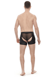 Seductive Sheer Men's Briefs / Black Elastic Boxers