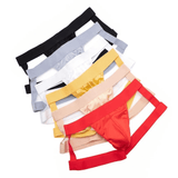 Sexy Men's Low-Rise Briefs / Erotic Male Underwear with Leg Rings - EVE's SECRETS