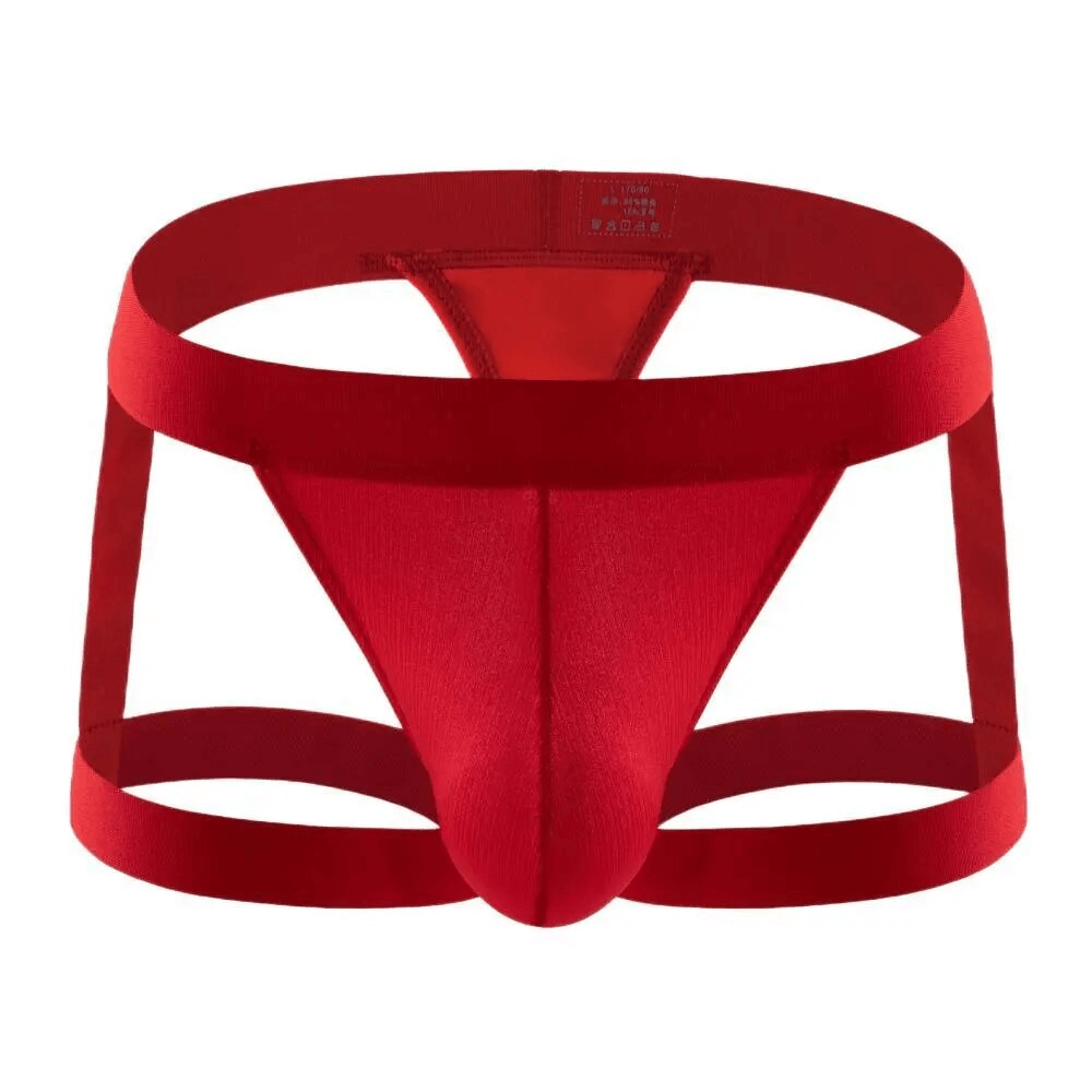 Sexy Men's Low-Rise Briefs / Erotic Male Underwear with Leg Rings - EVE's SECRETS