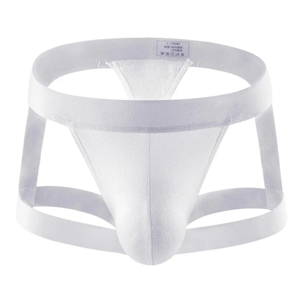 Sexy Men's Low-Rise Briefs / Erotic Male Underwear with Leg Rings - EVE's SECRETS