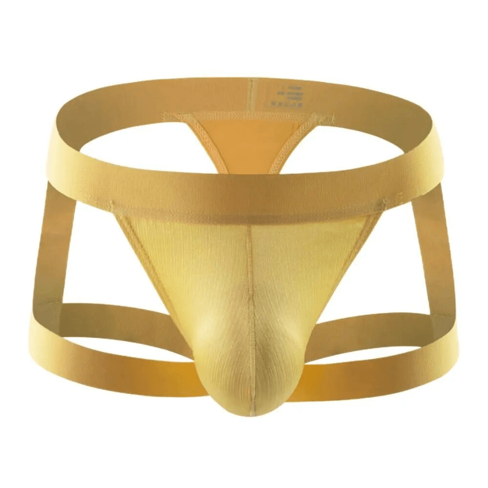 Sexy Men's Low-Rise Briefs / Erotic Male Underwear with Leg Rings - EVE's SECRETS