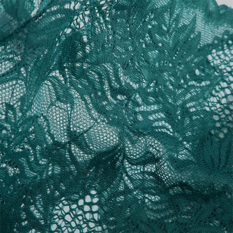 Sexy Mesh Lace Briefs for Women / Ladies See-Through Underwear - EVE's SECRETS