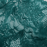 Sexy Mesh Lace Briefs for Women / Ladies See-Through Underwear - EVE's SECRETS