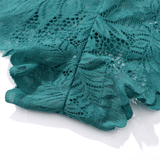 Sexy Mesh Lace Briefs for Women / Ladies See-Through Underwear - EVE's SECRETS