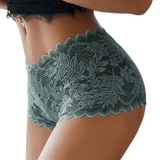 Sexy Mesh Lace Briefs for Women / Ladies See-Through Underwear - EVE's SECRETS