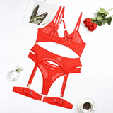 Sexy Transparent Bra with Panty and Garter Belt / Female Mesh Underwear / Women's Erotic Lingerie - EVE's SECRETS