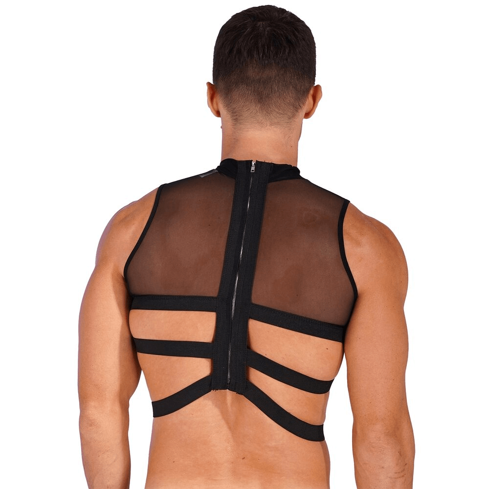 Sheer Mesh Crop Tops for Male / Sleeveless Vest with Zipper Back / Elastic Transparent Clothing - EVE's SECRETS