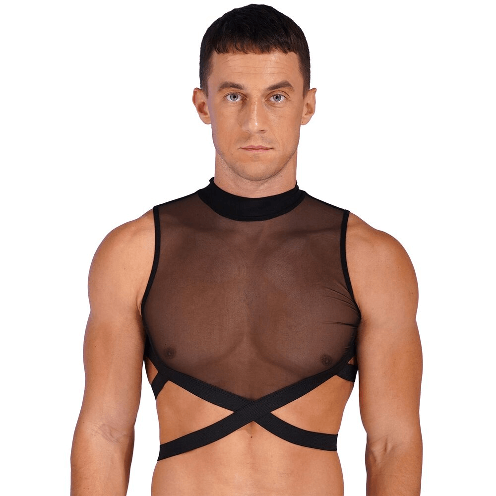 Sheer Mesh Crop Tops for Male / Sleeveless Vest with Zipper Back / Elastic Transparent Clothing - EVE's SECRETS