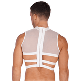 Sheer Mesh Crop Tops for Male / Sleeveless Vest with Zipper Back / Elastic Transparent Clothing - EVE's SECRETS