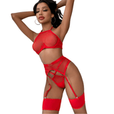 Transparent Mesh Lingerie With Bra And Panties / Women's Exotic 4-Piece Underwear Set - EVE's SECRETS