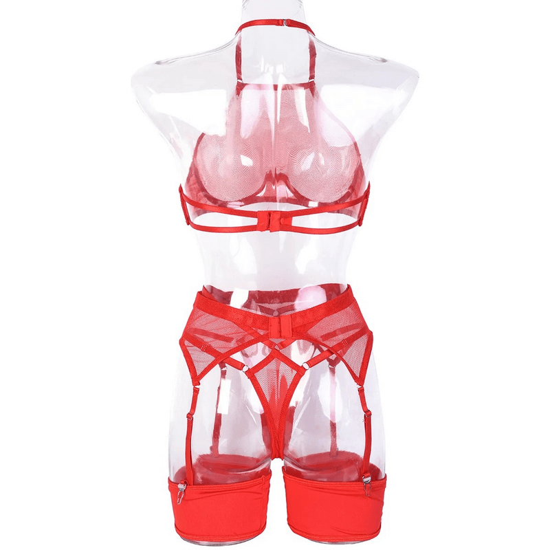 Transparent Mesh Lingerie With Bra And Panties / Women's Exotic 4-Piece Underwear Set - EVE's SECRETS