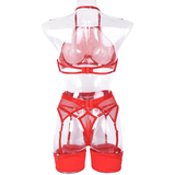 Transparent Mesh Lingerie With Bra And Panties / Women's Exotic 4-Piece Underwear Set - EVE's SECRETS