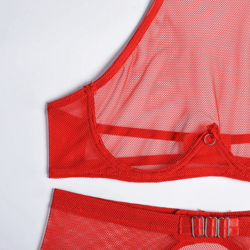 Transparent Mesh Lingerie With Bra And Panties / Women's Exotic 4-Piece Underwear Set - EVE's SECRETS