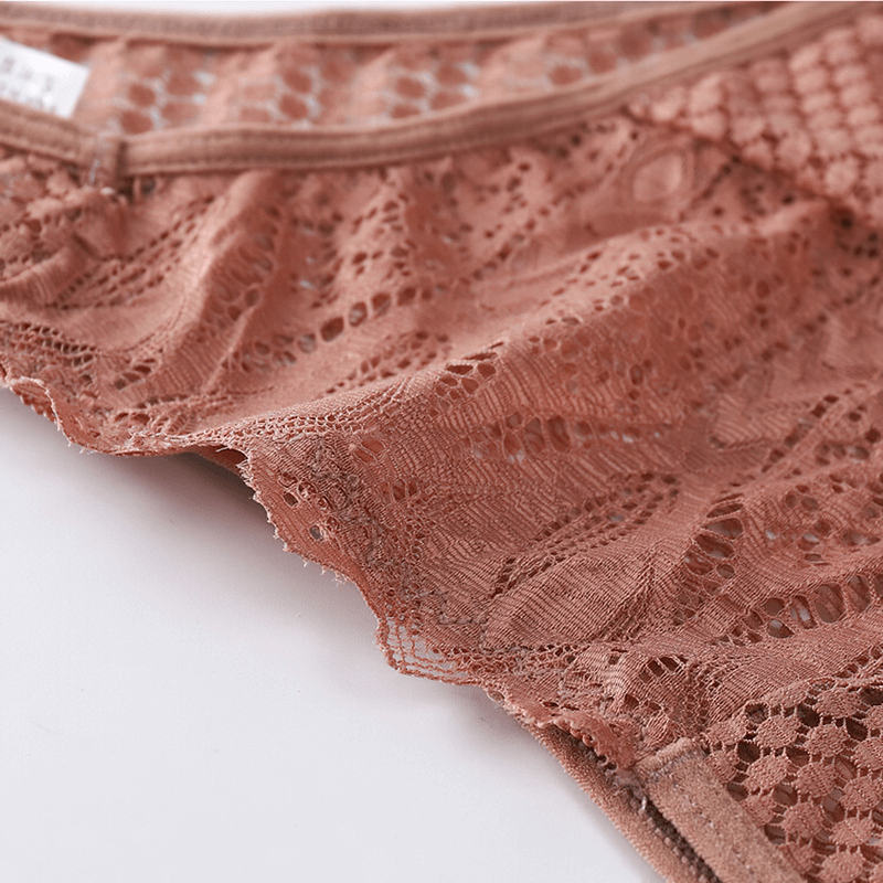 Women's Lace Low-Rise Panties / Sexy Sheer Lingerie Underwear - EVE's SECRETS