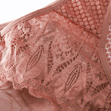 Women's Lace Low-Rise Panties / Sexy Sheer Lingerie Underwear - EVE's SECRETS