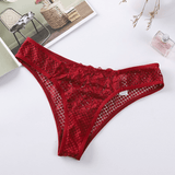 Women's Lace Low-Rise Panties / Sexy Sheer Lingerie Underwear - EVE's SECRETS