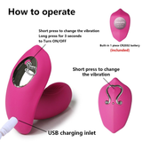 10 Speed Multiple Vibrator / Remote Control Clit Stimulating Masturbator / Sex Toy for Women - EVE's SECRETS