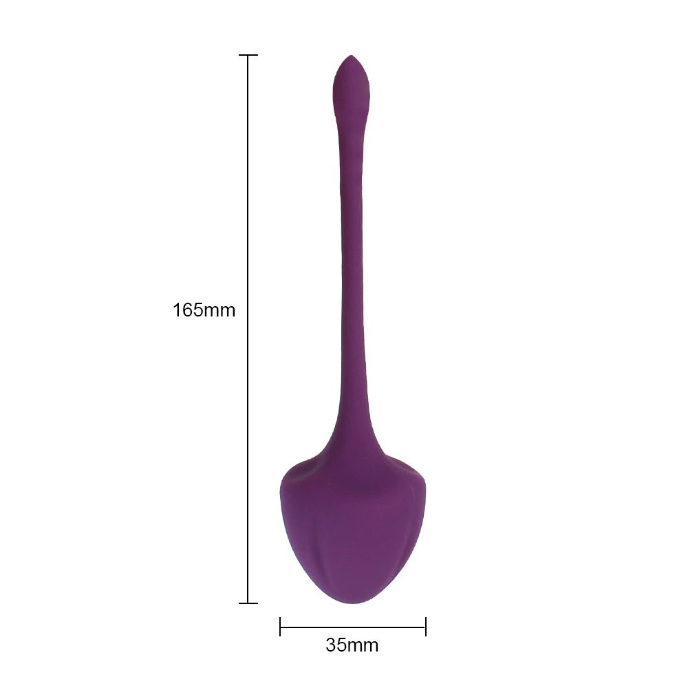 5Pcs/Set Vaginal Kegel Balls / Safe Silicone Vaginal Trainer Balls / Sex Toy for Women - EVE's SECRETS