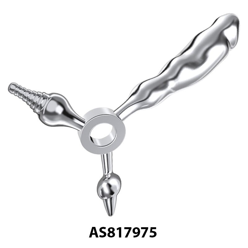Adult Stainless Steel Dildo Butt Plug / Metal Sex Toy for Couples - EVE's SECRETS