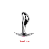 Anal Butt Plug for Men & Women / Adult Erotic Metal Masturbater / Anal Vaginal Unisex Sex Toys - EVE's SECRETS