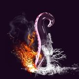 Anal Double Sided Special Hippocampus Glass Dildo / Stimulation Adult Anal Plug - EVE's SECRETS