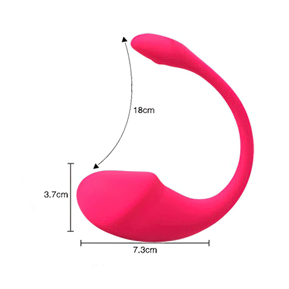 APP Remote Controlled Wearable Vibrator / Bluetooth Sex Toy for Women / Wireless Vibrating Sex Toy - EVE's SECRETS