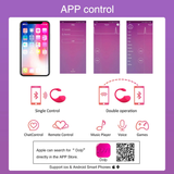 APP Remote Controlled Wearable Vibrator / Bluetooth Sex Toy for Women / Wireless Vibrating Sex Toy - EVE's SECRETS
