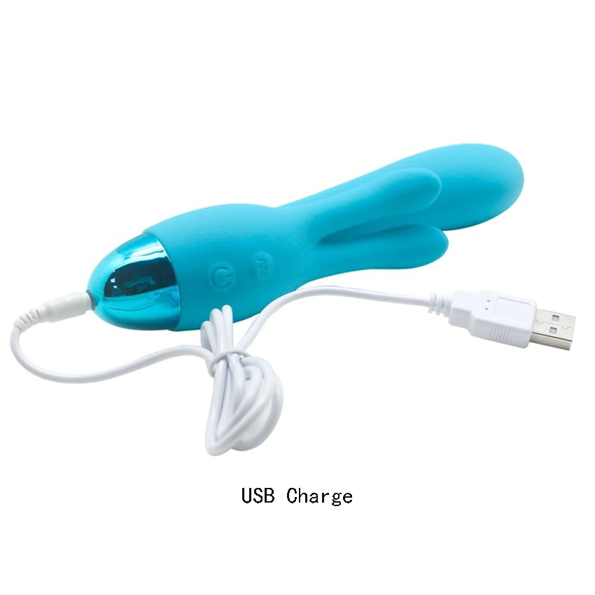 Big Multi Speed Vibrator for Ladies / USB Rechargeable Clitoris Massager / Women Vagina Masturbation - EVE's SECRETS