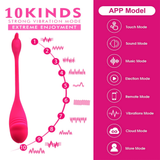 Bluetooth Dildo Vibrator for Women / Adult Wireless APP Remote Control Vibrator - EVE's SECRETS