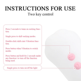Cat Paw Suction Vibrator / Nipples and Clitoral Stimulator in Original Design - EVE's SECRETS
