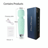 Clitoris G-Spot Mini Vibrator / Usb Charging Handheld Body Massager / Sex Toys for Women - EVE's SECRETS