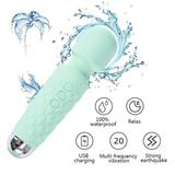 Clitoris G-Spot Mini Vibrator / Usb Charging Handheld Body Massager / Sex Toys for Women - EVE's SECRETS