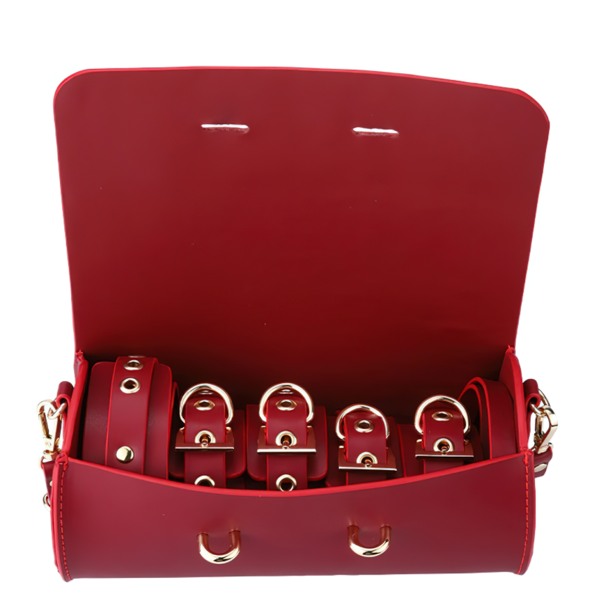 Cool BDSM Set With Bag / Erotic Toys For Adult Games / Unisex Genuine Leather 4 PC Kits - EVE's SECRETS