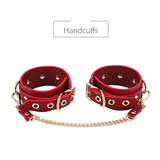 Cool BDSM Set With Bag / Erotic Toys For Adult Games / Unisex Genuine Leather 4 PC Kits - EVE's SECRETS