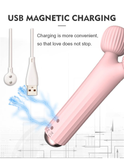 Cool Women's Wand Vibrator With Double Head / Female Clitoral Stimulator / Pink Erotic Massager - EVE's SECRETS