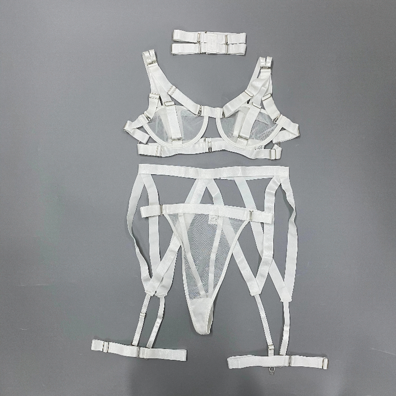Women's Hollow Out Transparent Lingerie / Sexy 3-Piece Lace Brief Sets Underwear - EVE's SECRETS